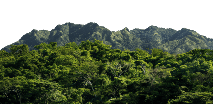 AI generated Dense green mountainous region with lush tropical forest and rugged terrain on transparent background - stock png. png