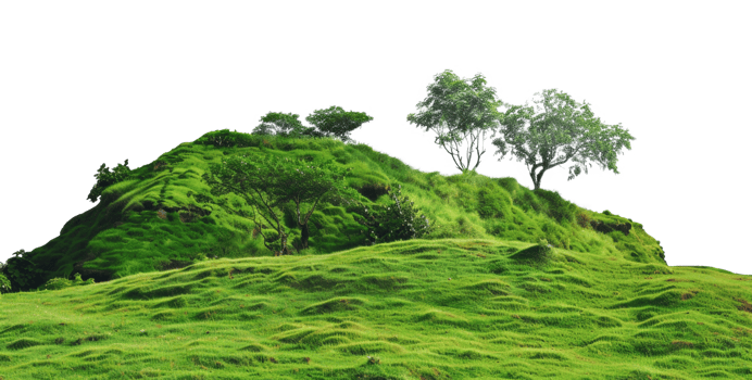 AI generated Serene rolling green hills with lush trees in a peaceful landscape on transparent background - stock png. png