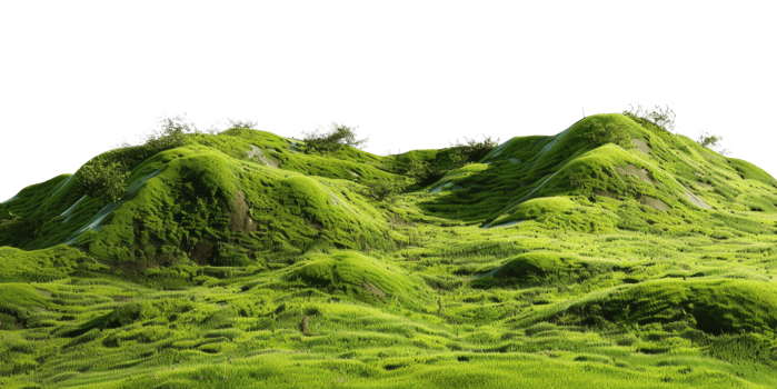 AI generated Serene rolling green hills in a peaceful landscape on transparent background - stock png. png