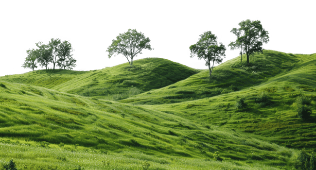 AI generated Serene rolling green hills with lush trees in a peaceful landscape on transparent background - stock png. png
