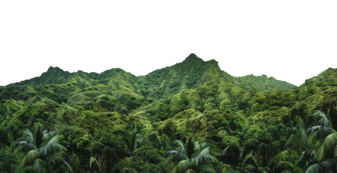 AI generated Dense tropical forest canopy with diverse foliage on transparent background - stock png. png