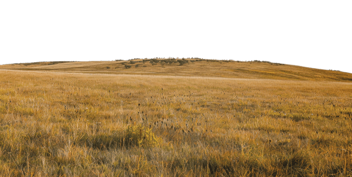 AI generated Expansive prairie with distant mountain range and golden grass on transparent background - stock png. png