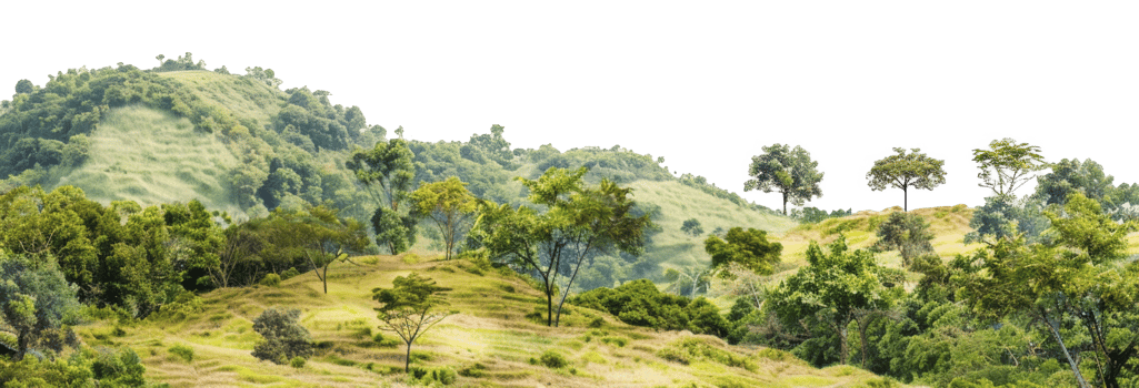 AI generated Serene rolling green hills with lush trees in a peaceful landscape on transparent background - stock png. png