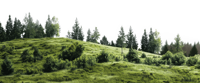 AI generated Lush green forest covering serene mountainous landscape on transparent background - stock png. png