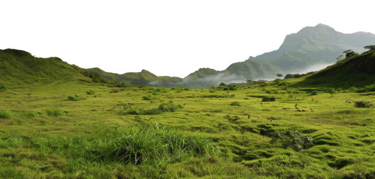 AI generated Green rolling hills and lush meadows in a tranquil rural landscape on transparent background - stock png. png