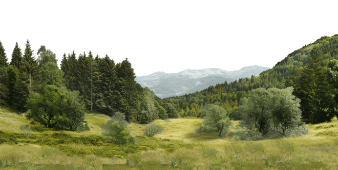 AI generated Green rolling hills and lush meadows in a tranquil rural landscape on transparent background - stock png. png