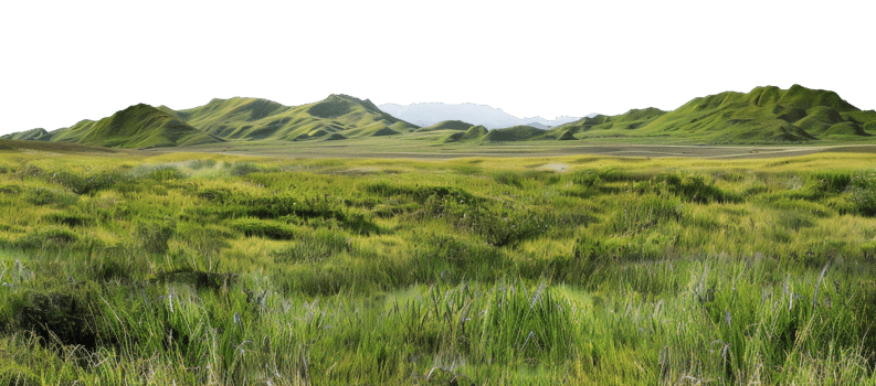AI generated Green rolling hills and lush meadows in a tranquil rural landscape on transparent background - stock png. png