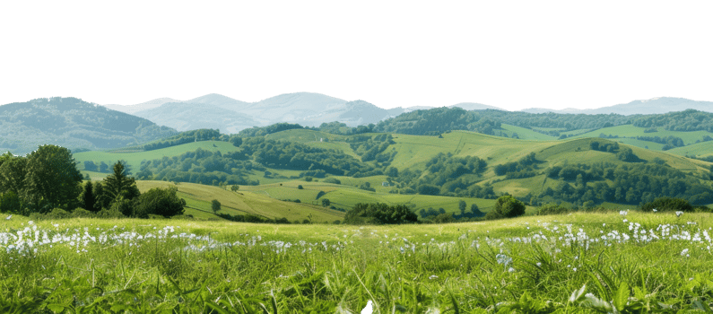 AI generated Green rolling hills and lush meadows in a tranquil rural landscape on transparent background - stock png. png