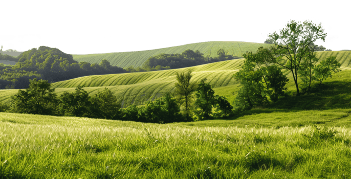 AI generated Tranquil green trees on a grassy hill in a serene natural landscape on transparent background - stock png. png
