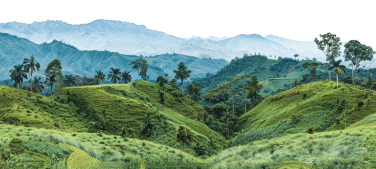 AI generated Lush greenery with rolling hills and mountains in a serene landscape on transparent background - stock png. png