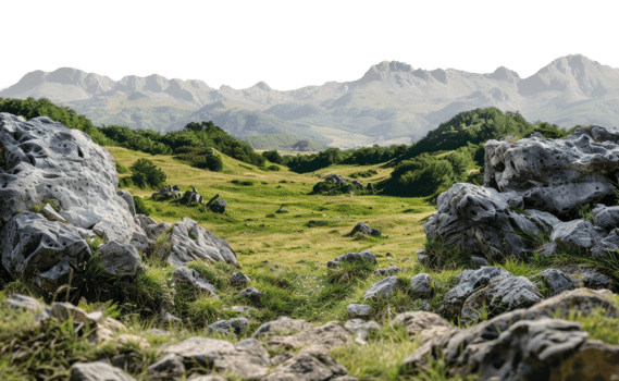 AI generated Serene mountain meadow dotted with rocks and lush green grass on transparent background - stock png. png