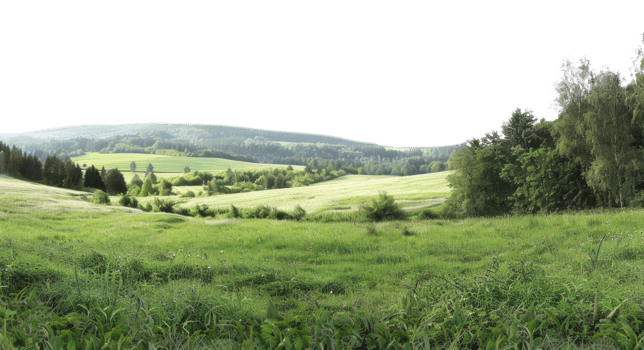 AI generated Green rolling hills and lush meadows in a tranquil rural landscape on transparent background - stock png. png