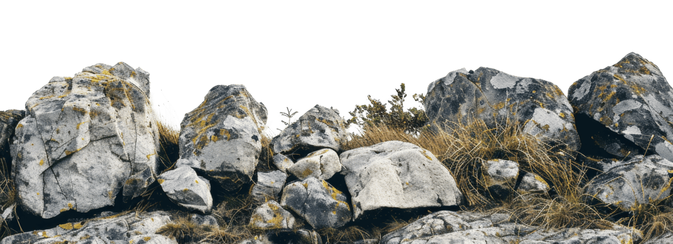 AI generated Rocky mountain outcrop with moss and sparse vegetation on transparent background - stock png. png