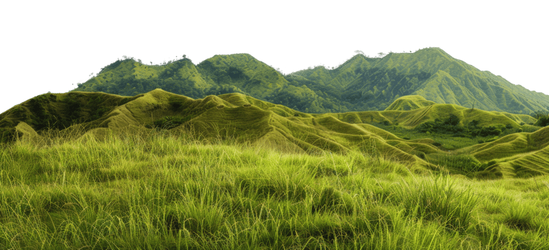 AI generated Verdant rolling hills with lush tall grass on transparent background - stock png. png