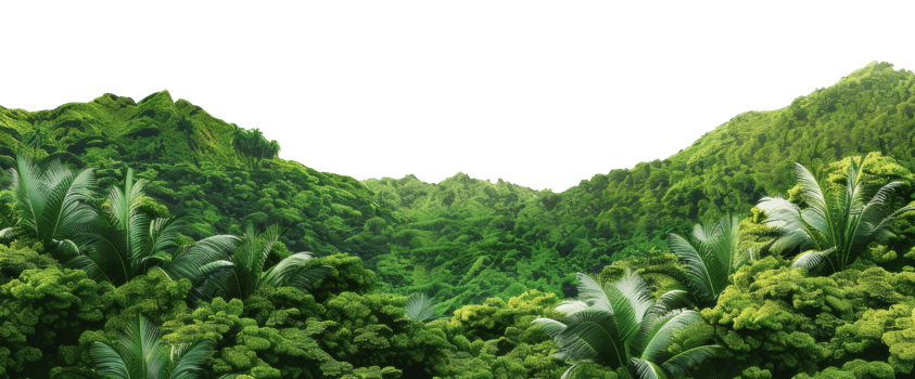 AI generated Vibrant tropical forest on transparent background - stock png. png