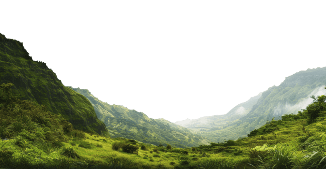 AI generated Alpine meadow with white wildflowers and forest in mountain landscape on transparent background - stock png. png