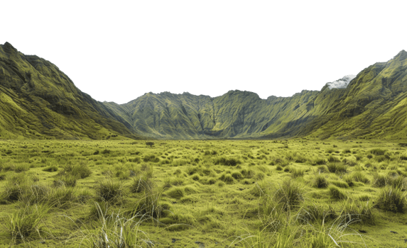AI generated Verdant rolling hills with lush tall grass on transparent background - stock png. png