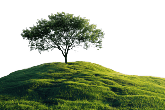 AI generated Solitary tree on a rolling green hill on transparent background - stock png. png