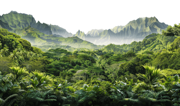 AI generated Lush tropical rainforest canopy with mountain outlines on transparent background - stock png. png