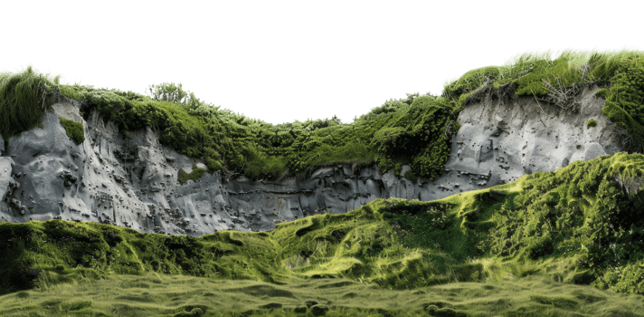 AI generated Alpine meadow with white wildflowers and forest in mountain landscape on transparent background - stock png. png