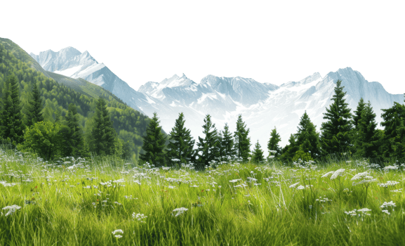 AI generated Alpine meadow with white wildflowers and forest in mountain landscape on transparent background - stock png. png