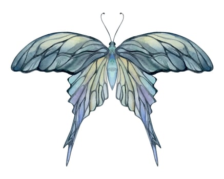 Hand drawn watercolor illustration butterfly fairy wings gem crystal insect moth. Opal moonstone pearl labradorite. Set of objects isolated on white background. Design print, shop, wedding, birthday vector