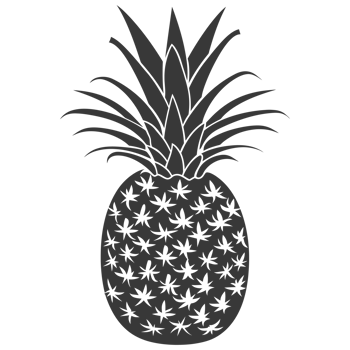 AI generated Silhouette Pineapple Fruit black color only png