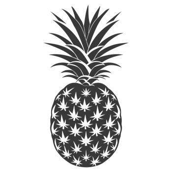 AI generated Silhouette Pineapple Fruit black color only png