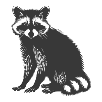 AI generated Silhouette Raccoon Animal black color only full body png