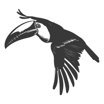 AI generated Silhouette Toucan bird animal fly black color only full body png