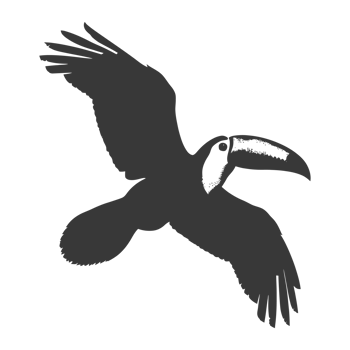 AI generated Silhouette Toucan bird animal fly black color only full body png