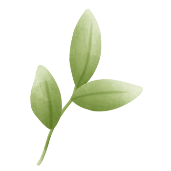 Green leaf water color png