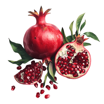 AI generated Pomegranate No Background Perfect for Print on Demand png