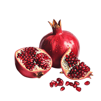 AI generated Pomegranate No Background Perfect for Print on Demand png