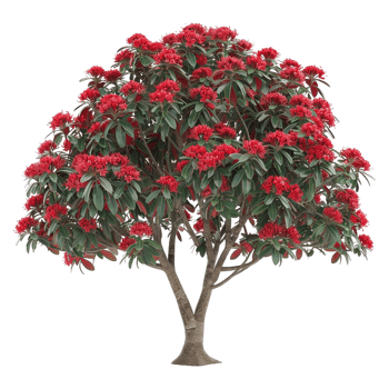 AI generated Red Flowers on a Tree on Transparent background - Ai Generated png