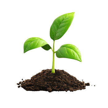 AI generated Green Seedling Clipart with Transparency png