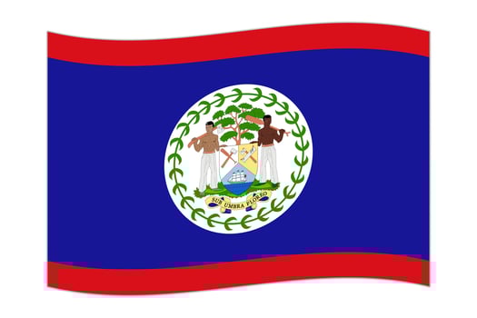 Waving flag of the country Belize. Vector illustration.
