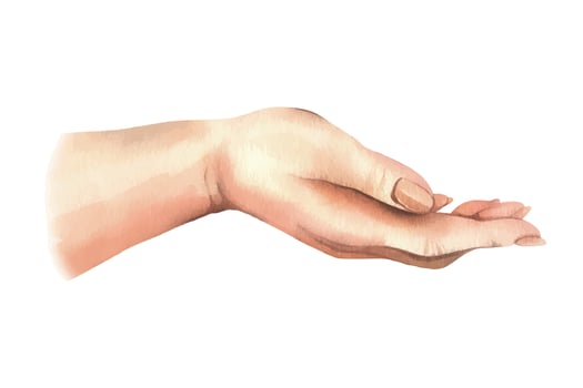 Hand of a white woman, palm side view with long nails of neutral, natural skin color. Hand drawn watercolor illustration. Element isolated from background. vector