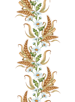 Watercolor illustration of a vertical pattern of daisies and ears of wheat isolated. Handmade flowers for wedding anniversary, birthday, invitations, cards, banners. png