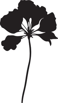 Hydrangea Flower Silhouette Vector Illustration White Background