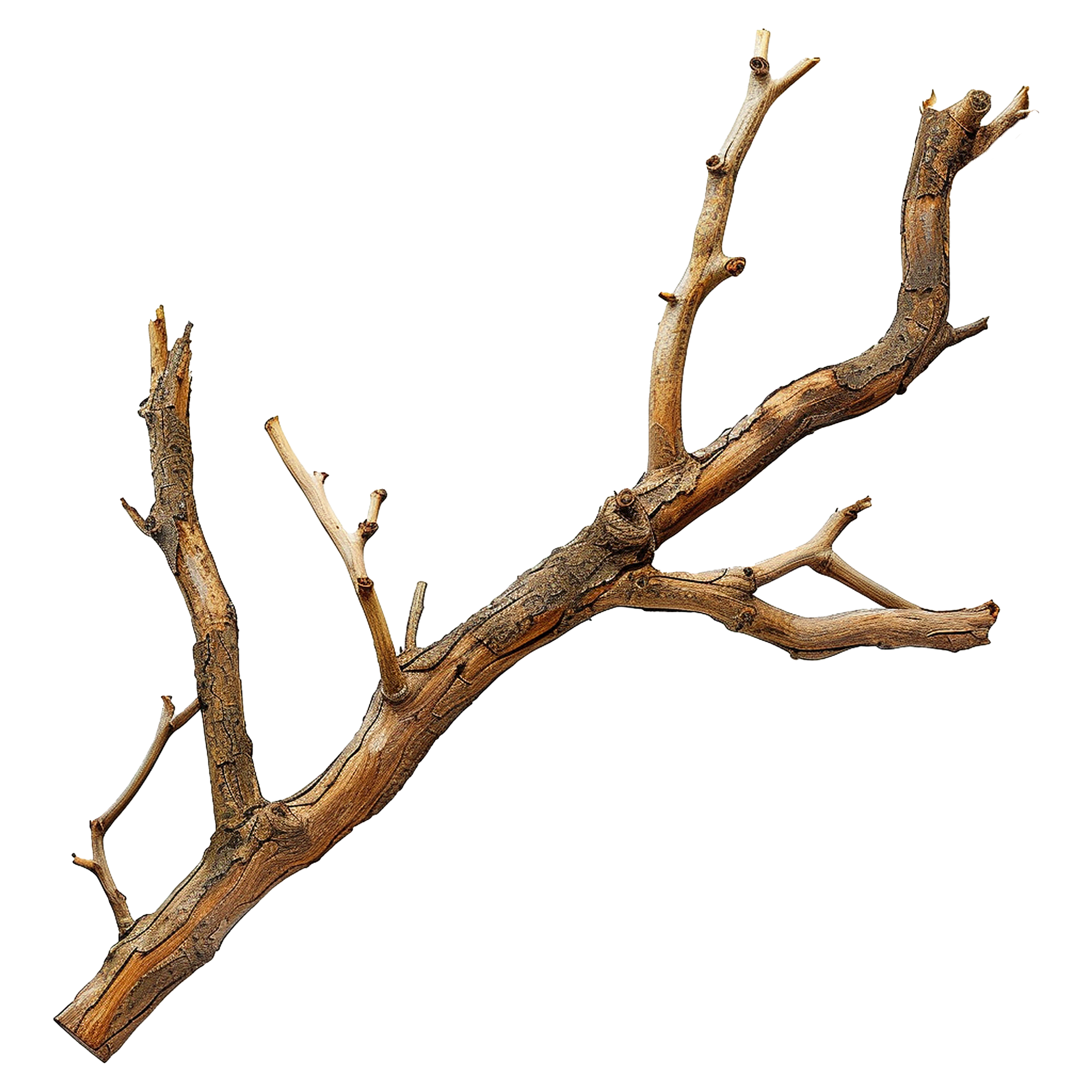 AI generated Wooden branch isolated on transparent background png