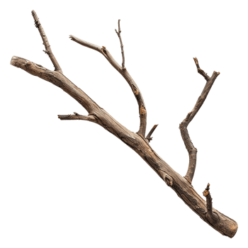 AI generated Wooden branch isolated on transparent background png