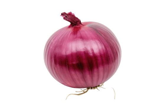 AI generated red onion isolated on transparent background png