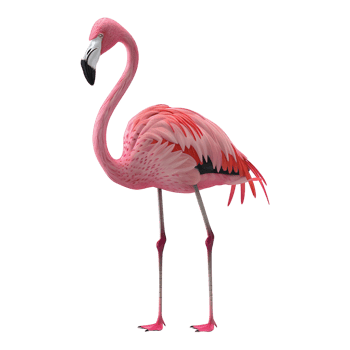 AI generated 3D Rendering of a Pink Flamingo on Transparent Background - Ai Generated png