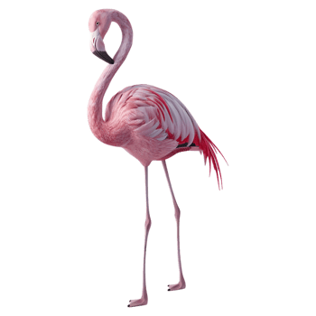 AI generated 3D Rendering of a Pink Flamingo on Transparent Background - Ai Generated png