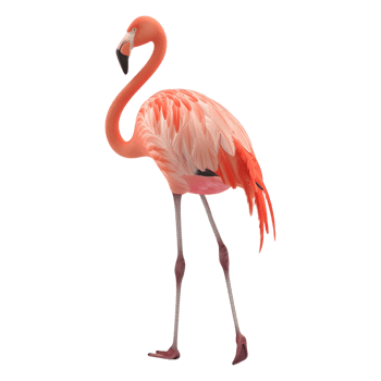 AI generated 3D Rendering of a Pink Flamingo on Transparent Background - Ai Generated png