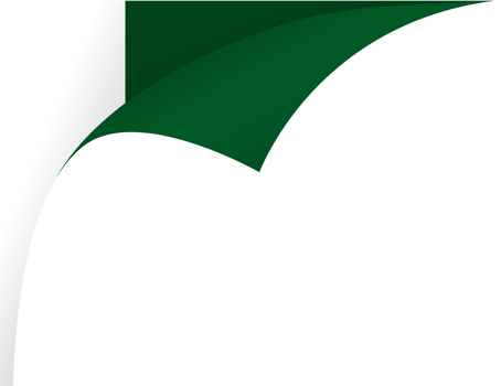 Pakistan flag wave png