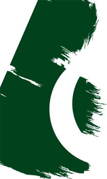 Pakistan flag brush png