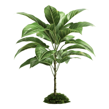 AI generated 3D Rendering of a Ficus Altissima in a pot on Transparent Background - Ai Generated png