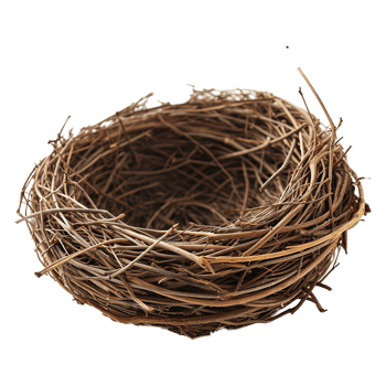AI generated Bird nest isolated on transparent background png